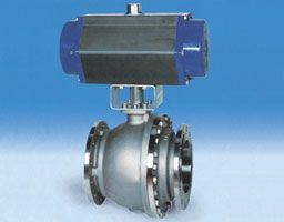 Pneumatic