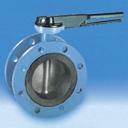 Flanges